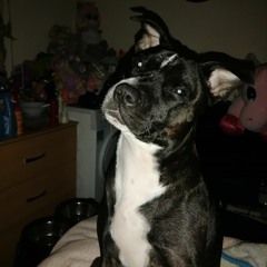 Lou