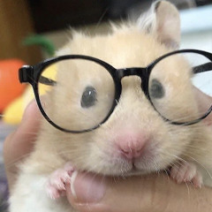 쩝