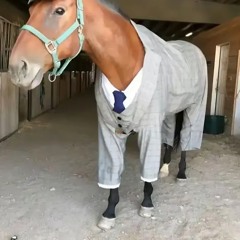 ｡･:*:✿<3
