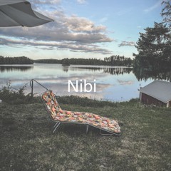 NiBi