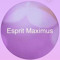 Esprit Maximus