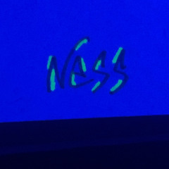 DJ NESS