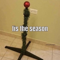 Tiny Dih Prime Minister