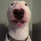 walter