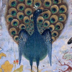 Deniz Küçükyılmaz