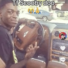 DaYoungYN
