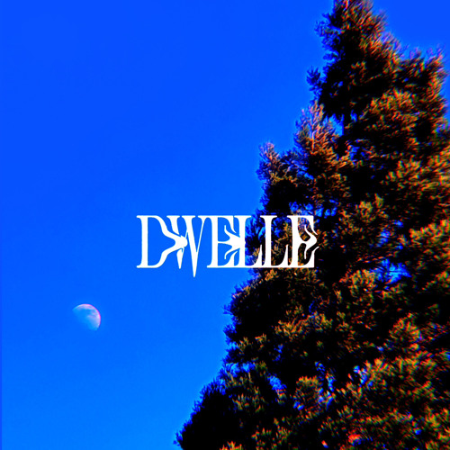 Dwelle’s avatar