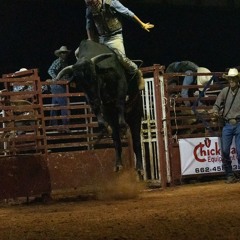 Bull.rider69