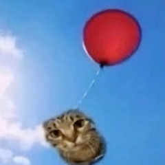 I have your Ip