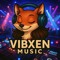 A.N.S -The Audio Nervous System . Vibxen Records