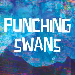 Punching Swans