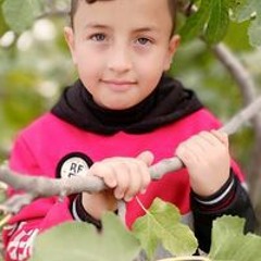 ام وليد ارفاعية