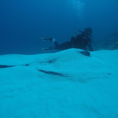 Vanessa Casas Prieto