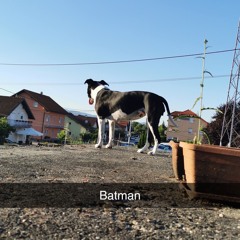 Nepotizam