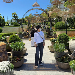 Nguyễn Trần Vành Khuyên