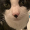 BindingOnyx