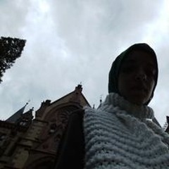Lamis Ashraf