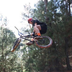 Josh Jolly