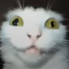 YiffFlip