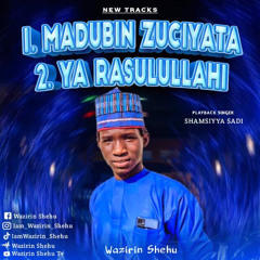 wazirin shehu