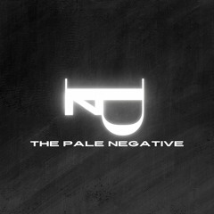 The Pale Negative