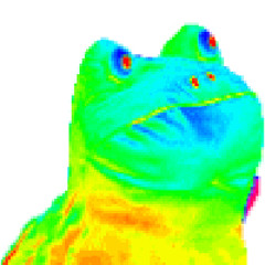 Don’t Follow Me I’m Lost!