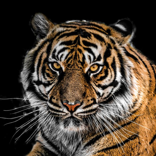 Ca me le fait encore