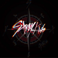 ❤️Skz4life❤️