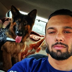 Mostafa Shadehi