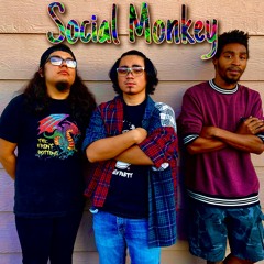 Social Monkey