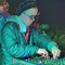 alpark_