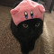 yoshi.zxn