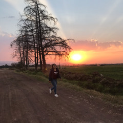 sin título