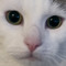 Tian