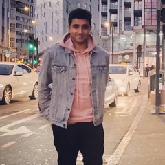 ___________________s.r