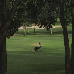 سارَّة
