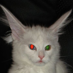 mew mew