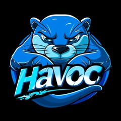 Havoc_Otter
