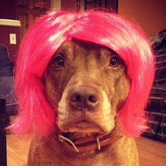 yellowhairclip