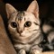 so cute