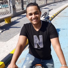 Hassan X.Essa