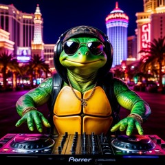 dj sexy turtle