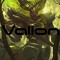 Vallon