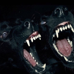 @99dracos