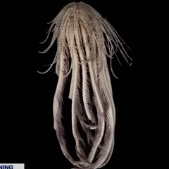 바다쓰기(🌊📝)