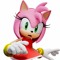 ajmy rose