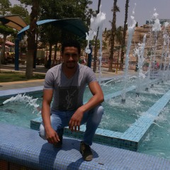 Mohsen elkafrawy