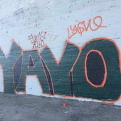 YayoFuckedYaHoe