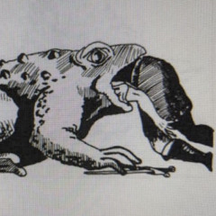 literallythesmallestbee