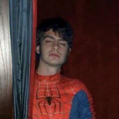 spiderbean_